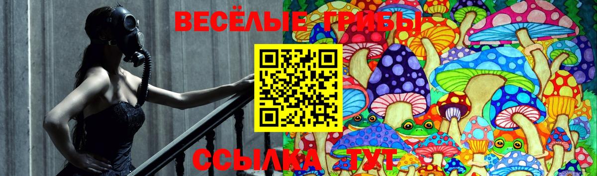 купить закладку  Вход с VPN  Псилоцибиновые грибы Psilocybine cubensis  Стерлитамак  Псилоцибиновые грибы Cubensis 